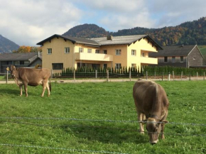 Ferienwohnung Thannen Lingenau